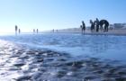 Folly Beach
