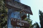 Forest Service place birdhouse
