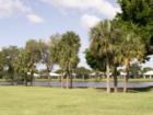 The south side of Lake Catherine.