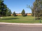 Echo Creek - Comon Area