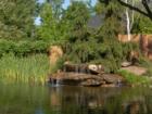 Echo Creek - Water Feature