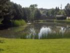 Echo Creek - Pond