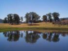This is a picture of a pond located in the hills that we ran into horsebacking riding when I just started to date my husband. I love this picture so much I actually used it on a business card for a couple of years.