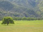 As you can see the Capay Valley is rich in wide open spaces and gorgeous foothills.