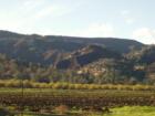 This picture was taken between Guinda and Rumsey in the Capay Valley. I loved the wildflowers.
