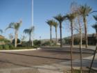 Palm tree lined streets at Seville Golf and Country club by Kaushik Sirkar, Chandler Realtor®