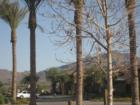 Views of nearby hills from Seville Golf and Country club by Kaushik Sirkar, Chandler Realtor®