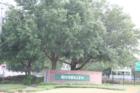 Riverglen