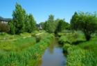 A walking path beside an irrigation canal in the Woodbridge subdivision.