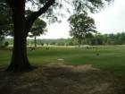 Chastain Golf Course from Lake Forest side.