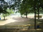 T-ball field at Chastain Park. This is where it all starts.
