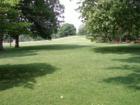 Buchanan Park.  Photo by Brian Schulman