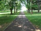 Buchanan Park.  Photo by Brian Schulman