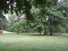 Buchanan Park.  Photo by Brian Schulman