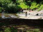 Cornwall park is for swimming in the creek