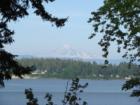 View Nugent