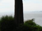 Lummi Island views