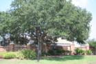 Bloomingdale Golfer's Club
      4113 Great Golfers Club
      Valrico, Florida 33594
      813-685-4105  
            
      