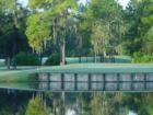 4113 Great Golfers Club
      Valrico, Florida 33594
      813-685-4105 