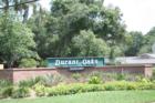 Durant Oaks