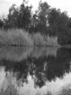 In Plain View ~ beauty right next to a major highway