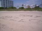 Miami Beach ~ Say Hello