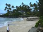 Lanieakea Beach and Surfing spot