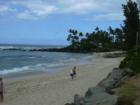 Another view of Lanieakea Beach