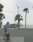 Safety Harbor is a great place to bike, fish, picnic, boat, relax by the fountains...come see for yourself