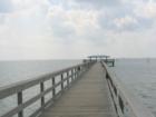 Enjoy fishing on Safety Harbor Marina Park - it's great to have a public bathroom. It has places to filet your fish and sit in the shade. 