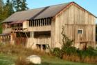 Whidbey farm
