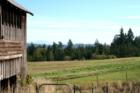 Whidbey farm