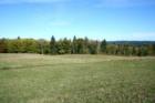 Whidbey farm...October
