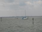 Boating is a favorite past time of many Safety Harbor residence since it's eastern border is Tampa Bay. You can see downtown Tampa in the background