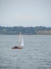 Bellingham Bay
