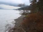 Lummi island