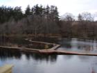 Lummi island wetlands