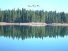 Lyons Dam  Reservoir is a quiet, off the beaten path place to fish or relax. 