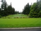 Beautiful greens at the Bellingham Golf and Country Club