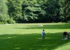 Playground and ball field at Cornwall Park