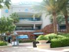 The Aquarium