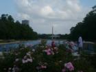 Hermann Park 