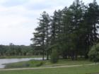 The Morton Arboretum boasts 1,700 acres of land and over 4,000 kinds of plants and trees from all over the world.