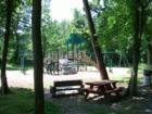Lake Grubb Nature Park.  Photo by Brian Schulman