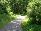 Lake Grubb Nature Park and walking trail.  Photo by Brian Schulman