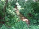 A stream at Lake Grubb Nature Park and walking trail.  Photo by Brian Schulman