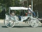 Old Sacramento
      Alternative To High Gas Prices