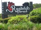 Randolph Farms in Largo Florida - Villa type homes with garages and lovely shade trees -built on site of old horse farm. 