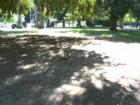 Ar118135821184736_l