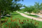 Dove Valley Ranch - Peoria AZ Real Estate